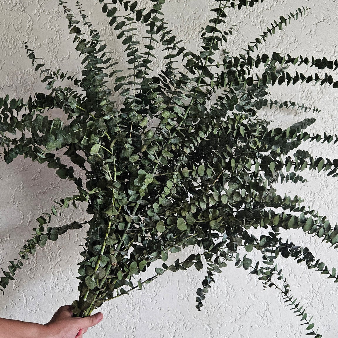 Eucalyptus Decorative Flowers