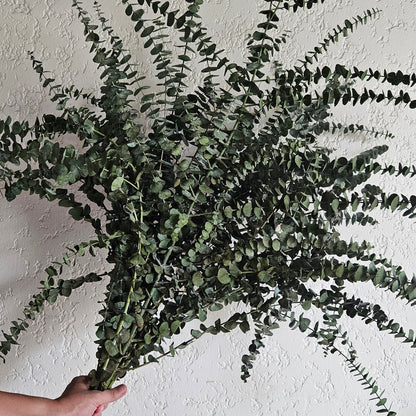 Eucalyptus Decorative Flowers
